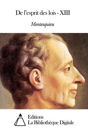 Cover of the book De l’esprit des lois - XIII by Jean-Jacques Rousseau