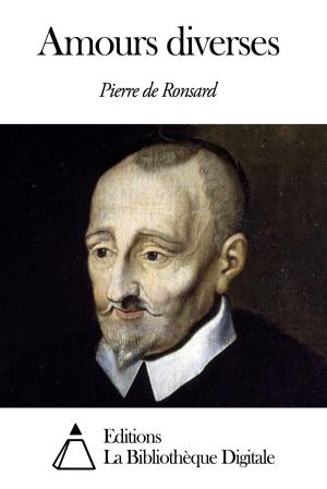 Cover of the book Amours diverses by Nuno Júdice, paulo da costa