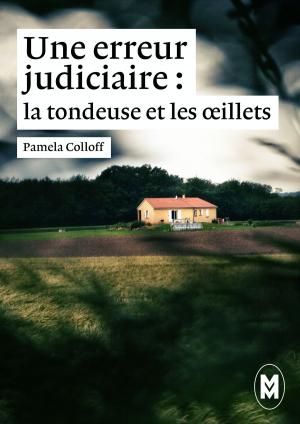 Cover of the book Une erreur judiciaire. Première partie : la tondeuse et les oeillets by MIchael Dirubio