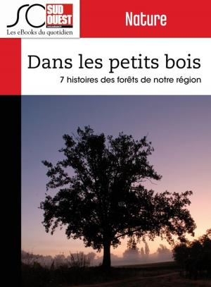 Cover of the book Dans les petits bois by Mark Zampardo