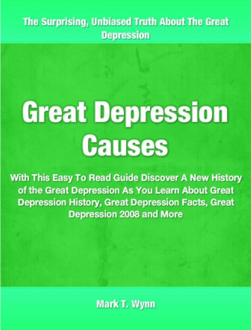 Cover of the book Great Depression Causes by Mark Wynn, JDSims Publishing