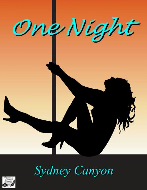 Cover of the book One Night by Sydney Canyon, Triplicity Publishing, LLC