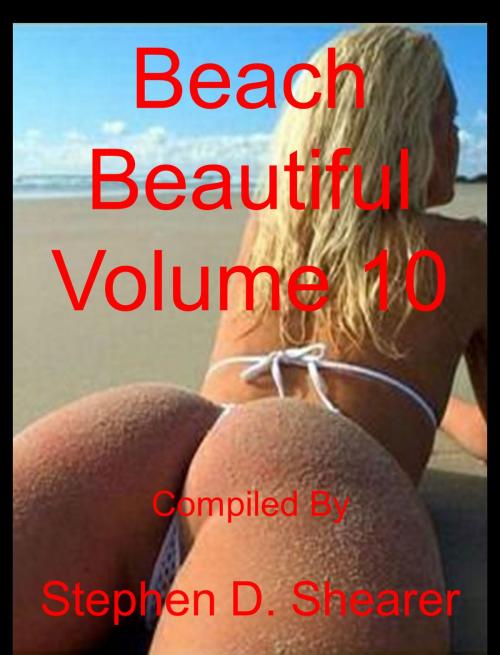 Cover of the book Beach Beautiful Volume 10 by Stephen Shearer, Butchered Tree Productions