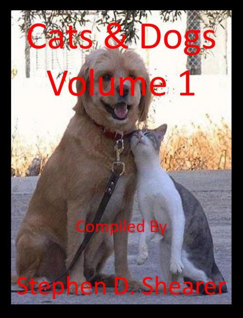 Cover of the book Cats & Dogs Volume 1 by Stephen Shearer, Butchered Tree Productions