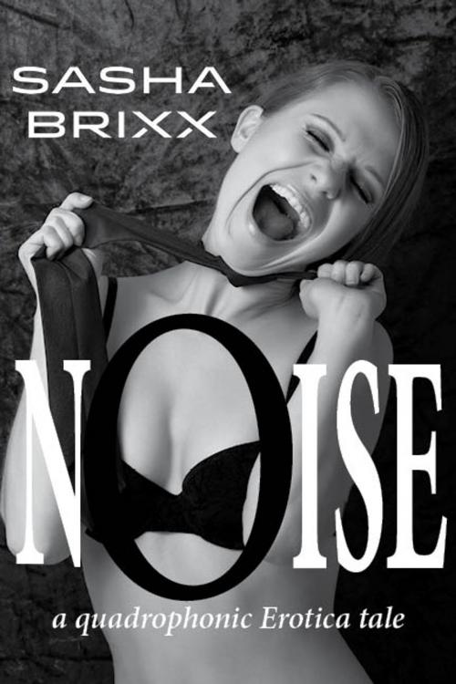 Cover of the book Noise by Sasha Brixx, Feed the Pulps Publishing