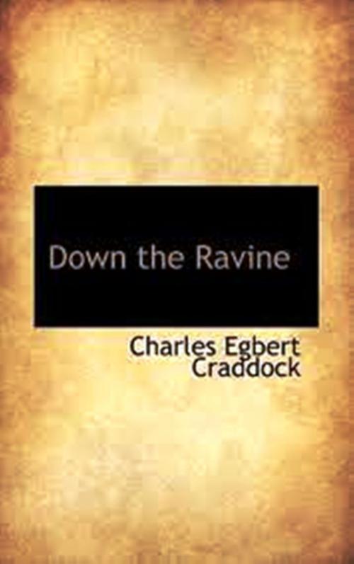 Cover of the book Down the Ravine by Charles Egbert Craddock, WDS Publishing
