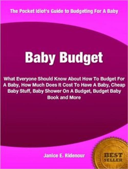 Cover of the book Baby Budget by Janice E. Ridenour, Tru Divine Publishing