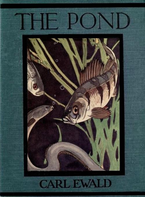 Cover of the book The Pond by Carl Ewald, Warwick Reynolds (Illustrator), EirenikosPress
