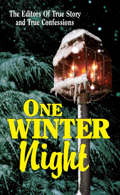 Cover of the book One Winter Night by The Editors Of True Story And True Confessions, True Renditions