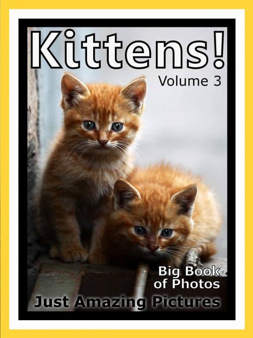 Cover of the book Just Kitten Photos! Big Book of Photographs & Pictures of Baby Cats & Cat Kittens, Vol. 3 by Big Book of Photos, Big Book of Photos