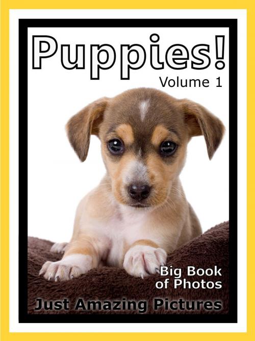 Cover of the book Just Puppy Photos! Big Book of Photographs & Pictures of Baby Dogs & Dog Puppies, Vol. 1 by Big Book of Photos, Big Book of Photos