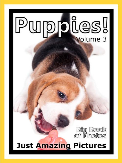 Cover of the book Just Puppy Photos! Big Book of Photographs & Pictures of Baby Dogs & Dog Puppies, Vol. 3 by Big Book of Photos, Big Book of Photos