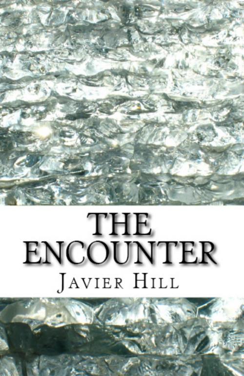 Cover of the book The Encounter by Javier Hill, KHE Global LLC
