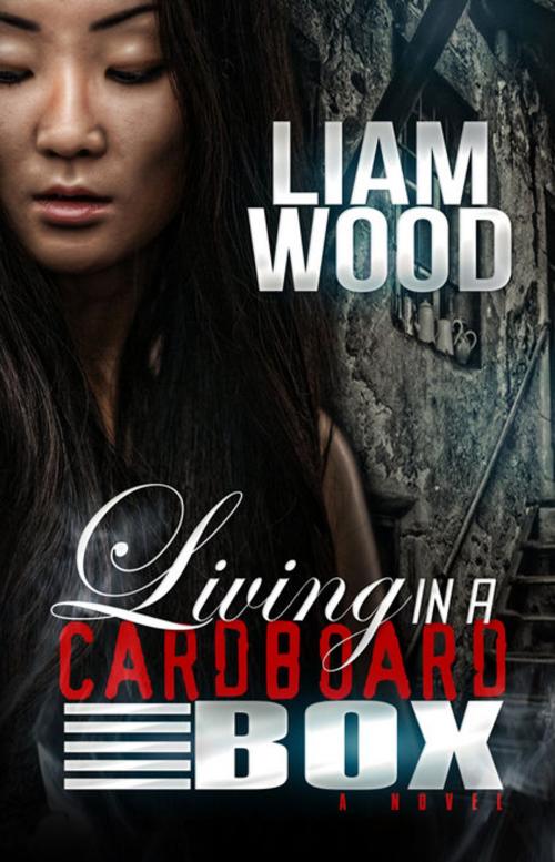 Cover of the book Living in a Cardboard Box by Ilam Wood, Art Official Media LLC