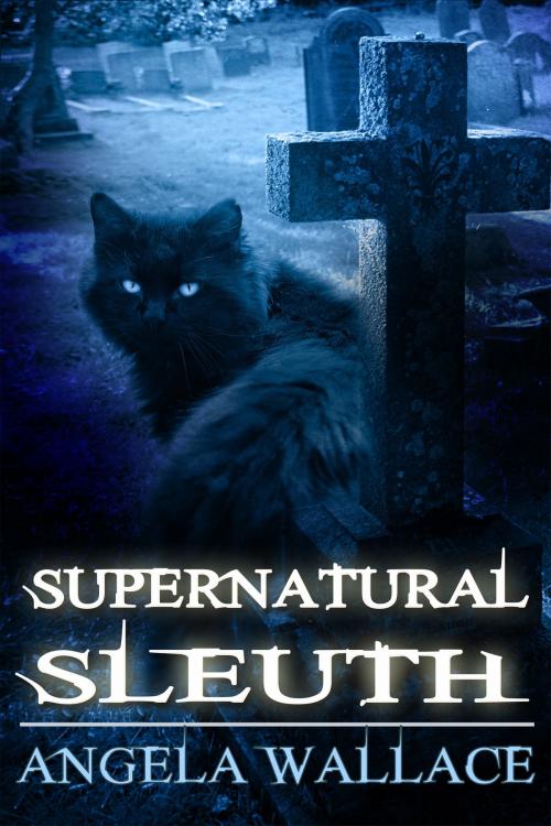 Cover of the book Supernatural Sleuth, Case File #1 by Angela Wallace, Angela Wallace