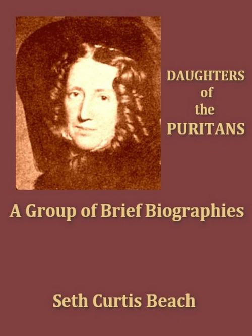 Cover of the book Daughters of the Puritans by Seth Curtis Beach, VolumesOfValue