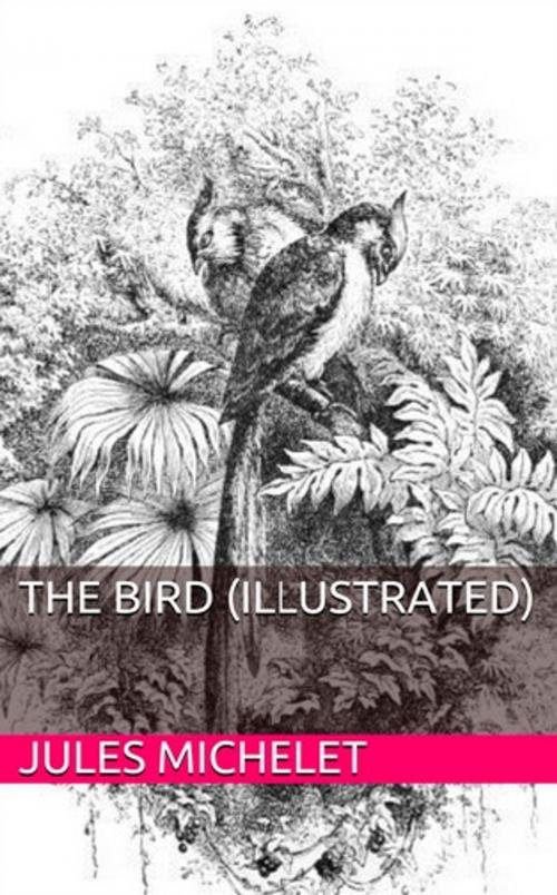 Cover of the book The Bird (Illustrated) by Jules Michelet, Lost Leaf Publications