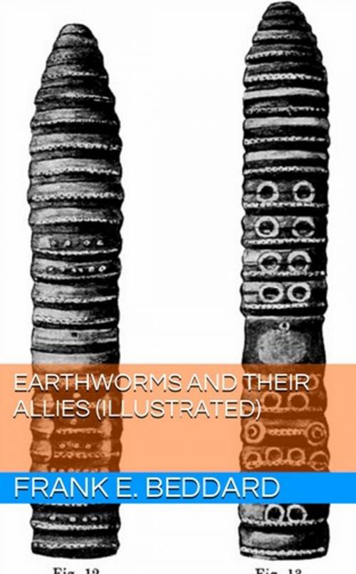 Cover of the book Earthworms and their Allies (Illustrated) by Frank E. Beddard, Lost Leaf Publications