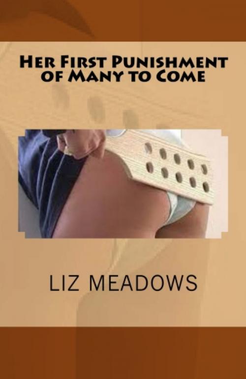 Cover of the book Her First Punishment of Many to Come by Liz Meadows, Vince Stead