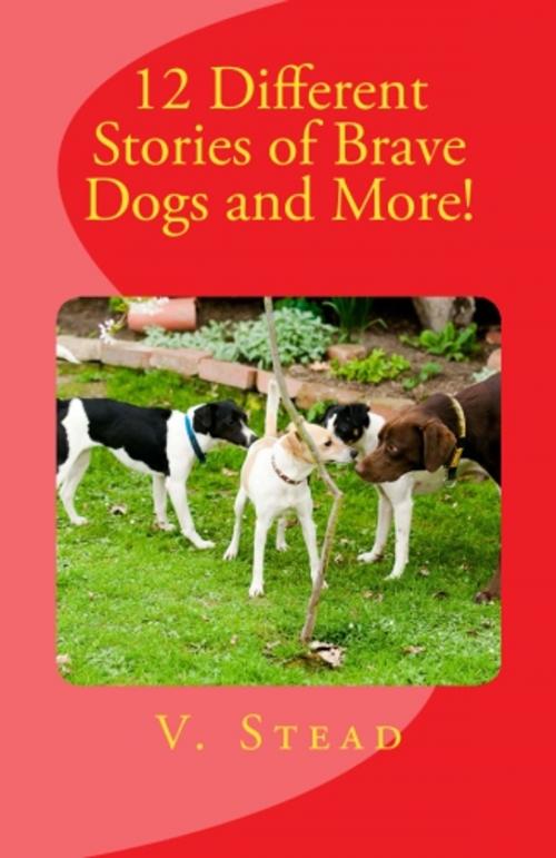 Cover of the book 12 Different Stories of Brave Dogs and More! by Vince Stead, Vince Stead