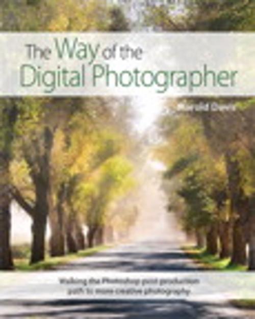 Cover of the book The Way of the Digital Photographer by Harold Davis, Pearson Education