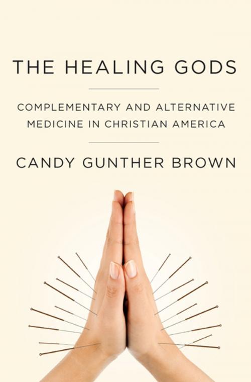 Cover of the book The Healing Gods by Candy Gunther Brown, Oxford University Press