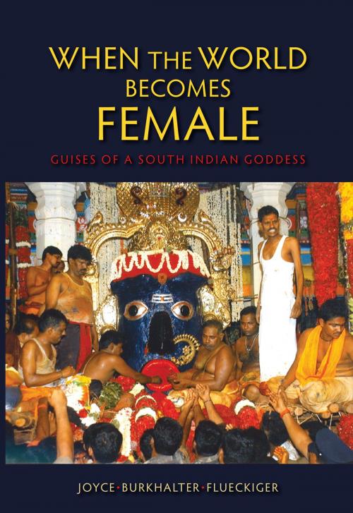 Cover of the book When the World Becomes Female by Joyce Burkhalter Flueckiger, Indiana University Press
