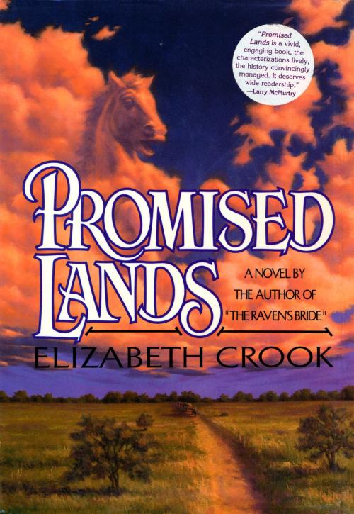 Cover of the book Promised Lands by Elizabeth Crook, Knopf Doubleday Publishing Group