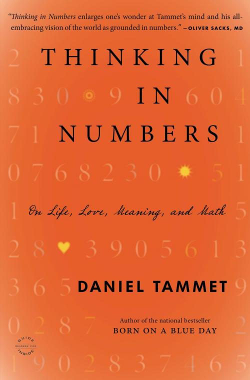 Cover of the book Thinking In Numbers by Daniel Tammet, Little, Brown and Company