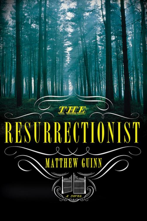 Cover of the book The Resurrectionist: A Novel by Matthew Guinn, W. W. Norton & Company