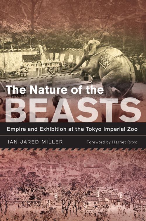 Cover of the book The Nature of the Beasts by Ian Jared Miller, University of California Press