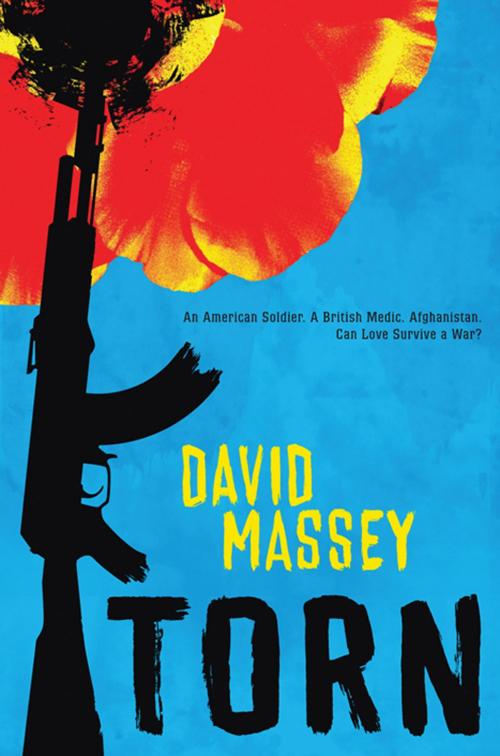 Cover of the book Torn by David Massey, Scholastic Inc.