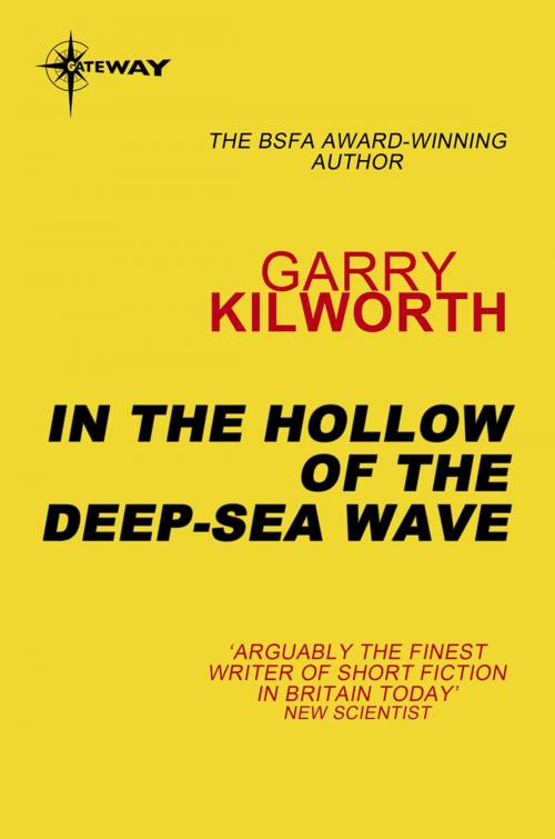 Cover of the book In the Hollow of the Deep-Sea Wave by Garry Kilworth, Orion Publishing Group