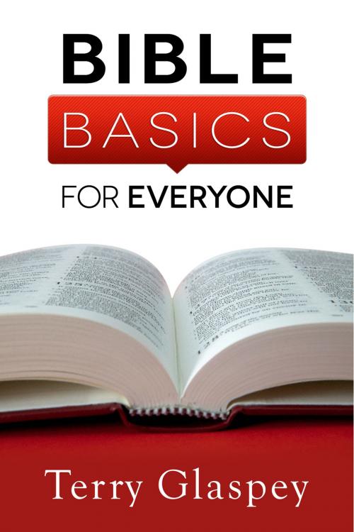 Cover of the book Bible Basics for Everyone by Terry Glaspey, Harvest House Publishers