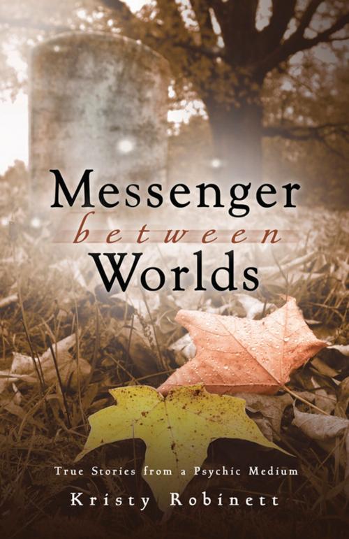Cover of the book Messenger Between Worlds by Kristy Robinett, Llewellyn Worldwide, LTD.