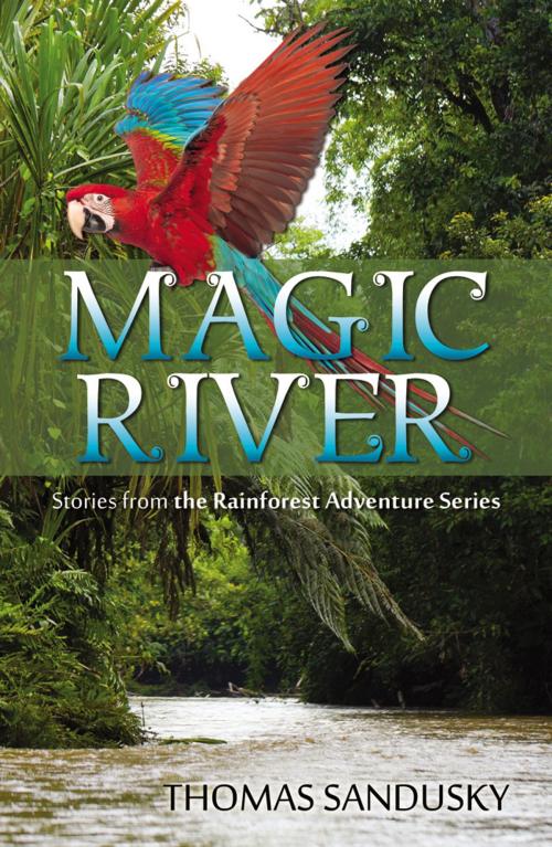 Cover of the book Magic River by Thomas Sandusky, Infinity Publishing