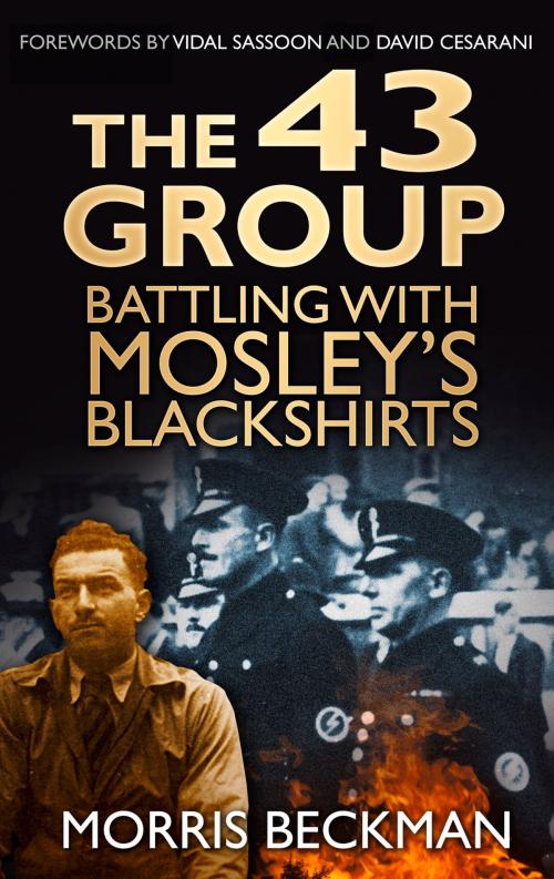 Cover of the book 43 Group by Morris Beckman, Vidal Sassoon, David Cesarani, The History Press