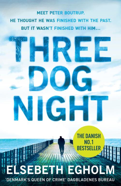 Cover of the book Three Dog Night by Elsebeth Egholm, Headline