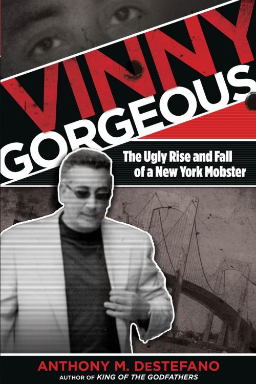 Cover of the book Vinny Gorgeous by Anthony M. DeStefano, Lyons Press
