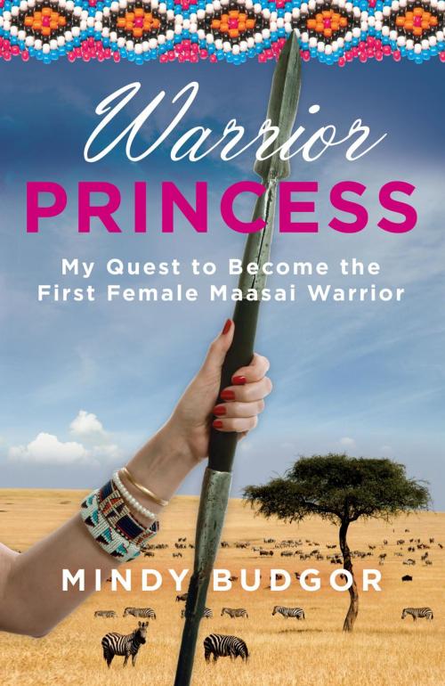 Cover of the book Warrior Princess by Mindy Budgor, Skirt!