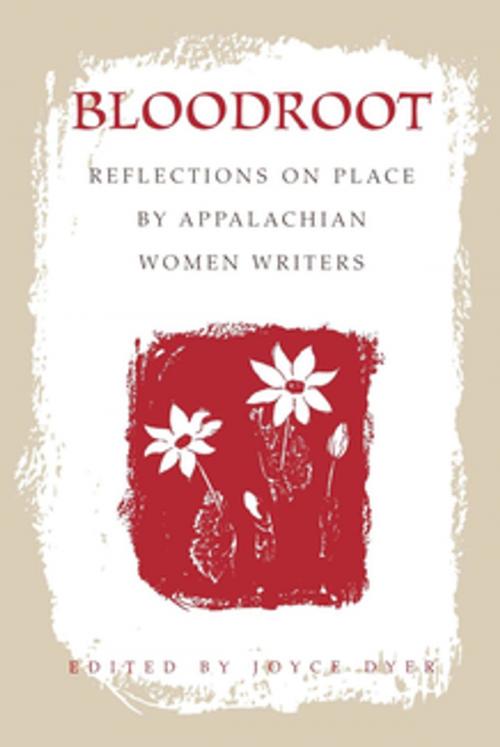 Cover of the book Bloodroot by , The University Press of Kentucky