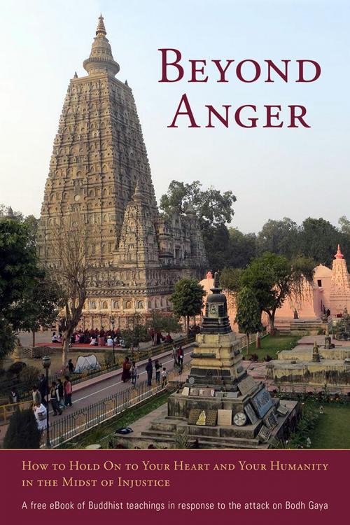 Cover of the book Beyond Anger by , Shambhala