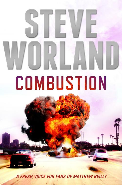 Cover of the book Combustion by Steve Worland, Penguin Books Ltd