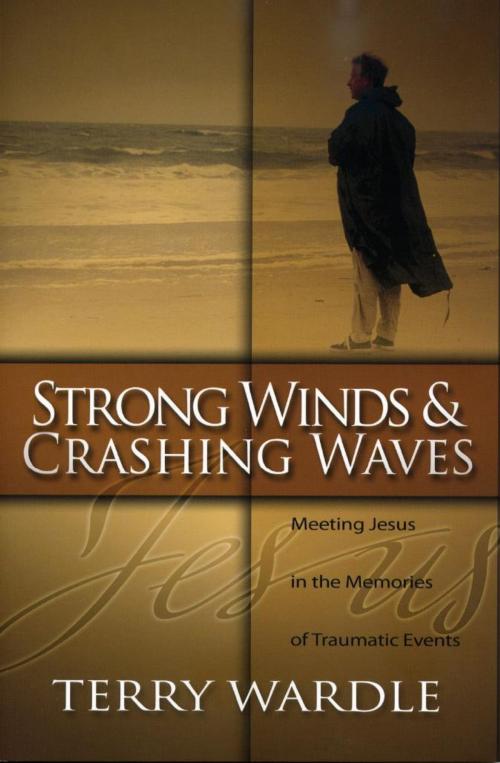 Cover of the book Strong Winds & Crashing Waves by Terry Wardle, Leafwood Publishers