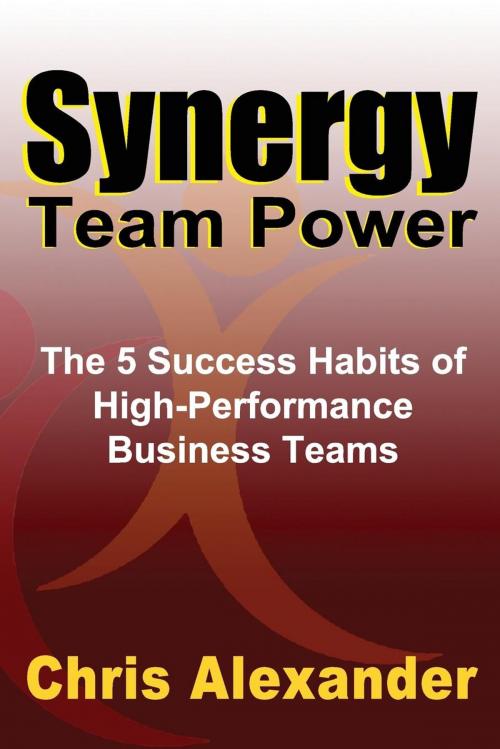 Cover of the book Synergy Team Power by Chris Alexander, M.A. (Org. Psych.), 1+1=3 Publishing