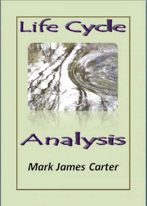Cover of the book Life Cycle Analysis by Mark James Carter, Mark James Carter