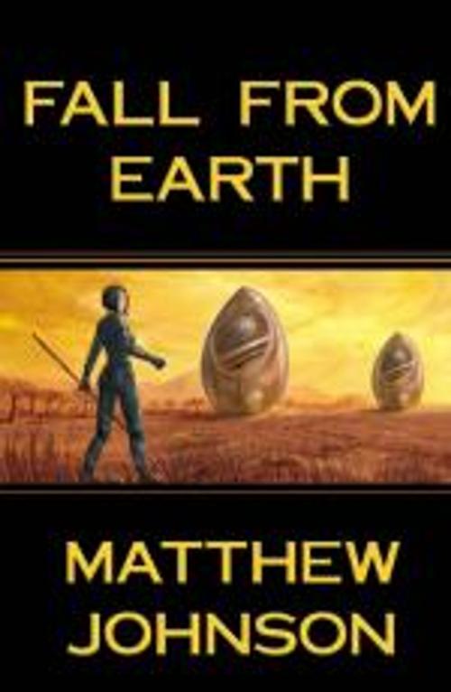 Cover of the book Fall From Earth by Matthew Johnson, Bundoran Press
