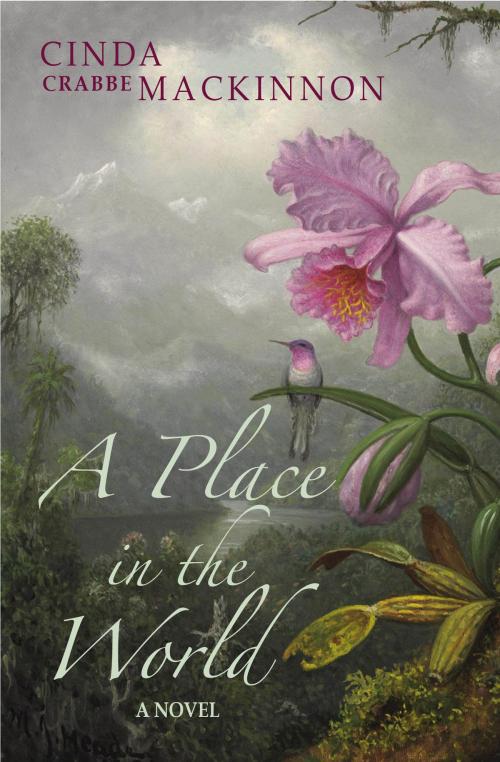 Cover of the book A Place In The World by Cinda Crabbe MacKinnon, Cinda Crabbe MacKinnon