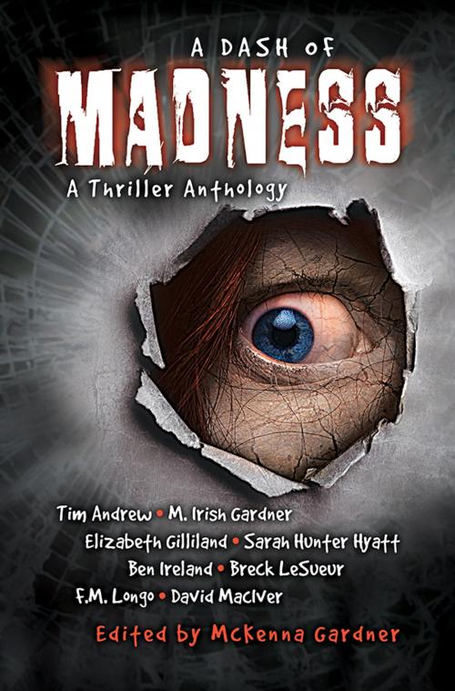 Cover of the book A Dash of Madness: A Thriller Anthology by M. Irish Gardner, Elizabeth Gilliland, Sarah Hunter Hyatt, Hamilton Springs Press
