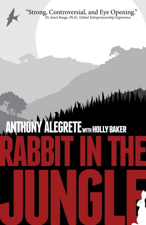Cover of the book Rabbit in the Jungle by Anthony Alegrete, Holly Baker, The Jump Publishing Company
